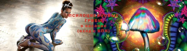 гидропоника Абинск