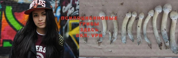 кокс Абаза