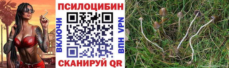 Галлюциногенные грибы прущие грибы  Стерлитамак 