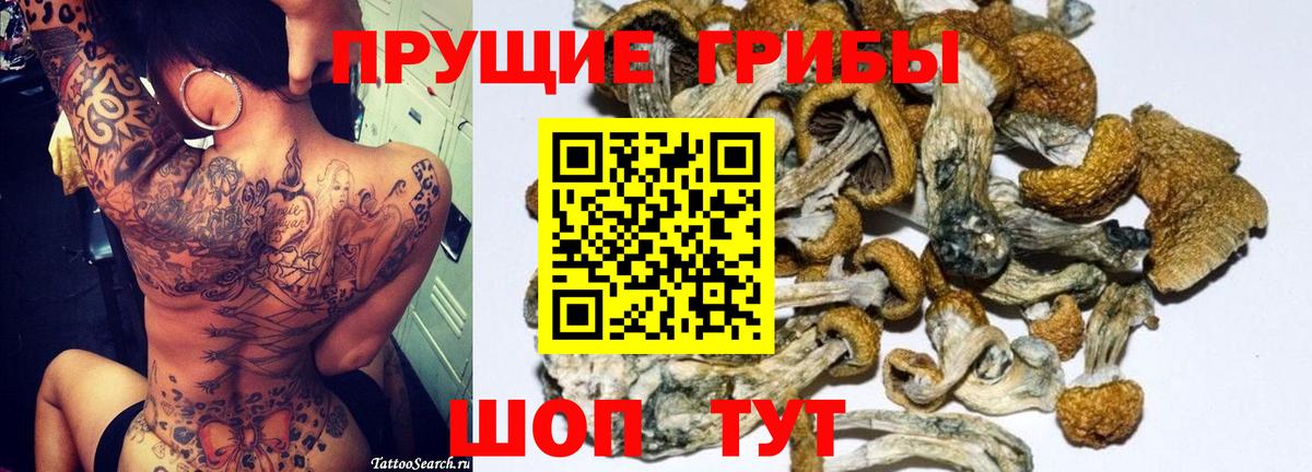 Галлюциногенные грибы Psilocybine cubensis  Вход с VPN  купить наркоту  Стерлитамак 