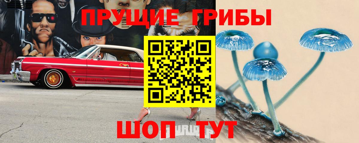 Псилоцибиновые грибы MAGIC MUSHROOMS Стерлитамак
