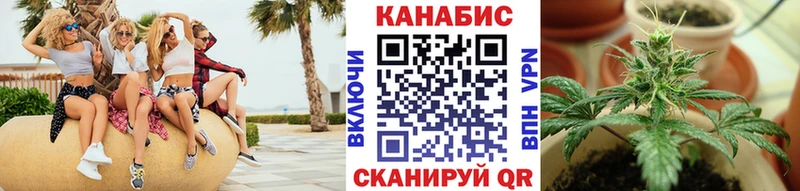 darknet официальный сайт  ссылка на мегу сайт  Стерлитамак  где купить   Конопля SATIVA & INDICA 